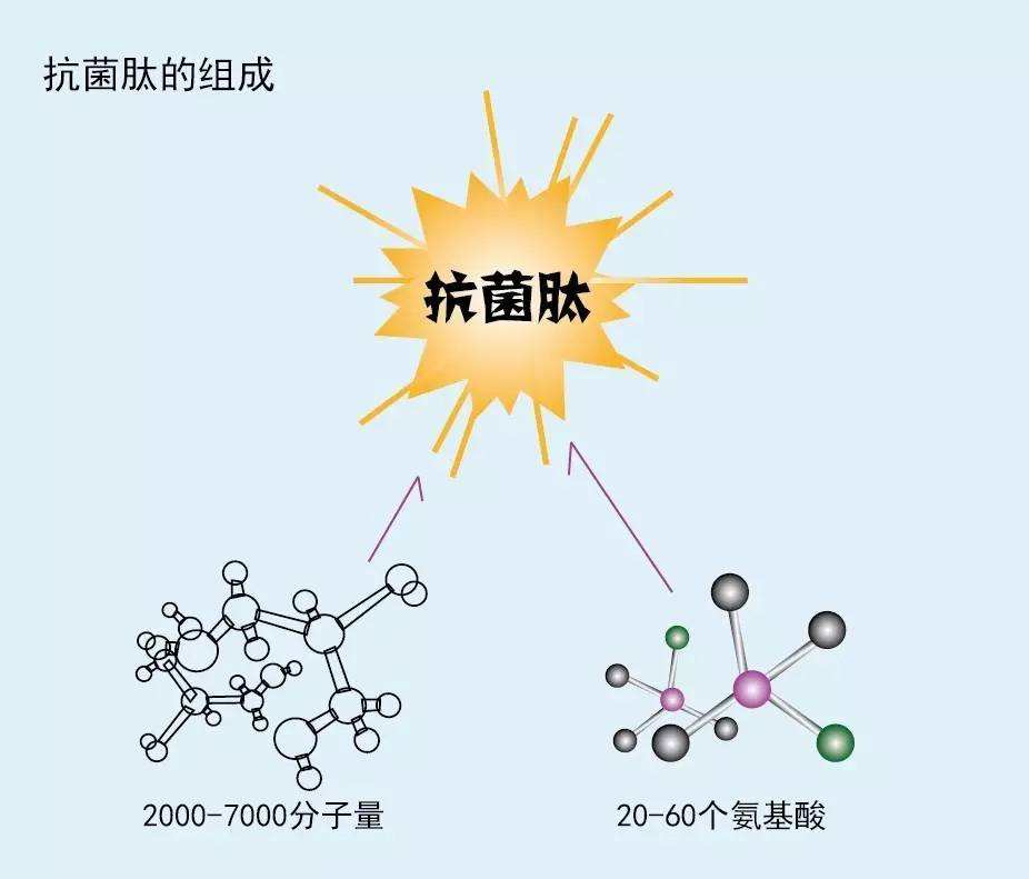 什么是抗菌肽？